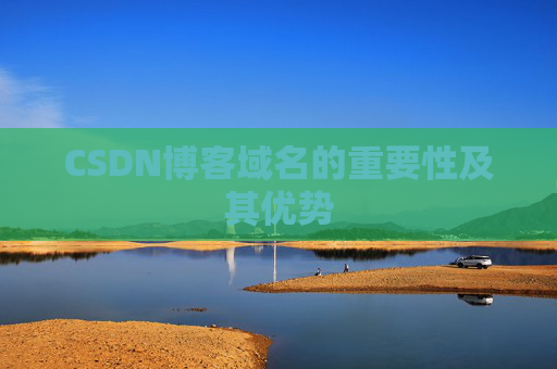 CSDN博客域名的重要性及其优势